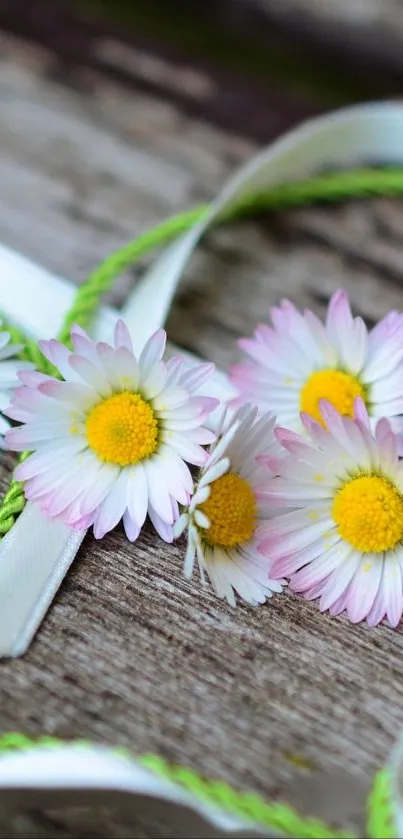 Flower Plant Grass Live Wallpaper