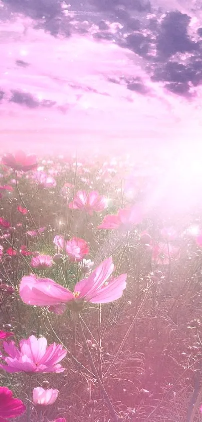 Flower Plant Grass Live Wallpaper