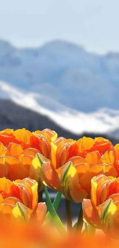 Flower Plant Grass Live Wallpaper