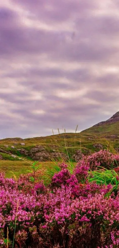 Flower Plant Grass Live Wallpaper