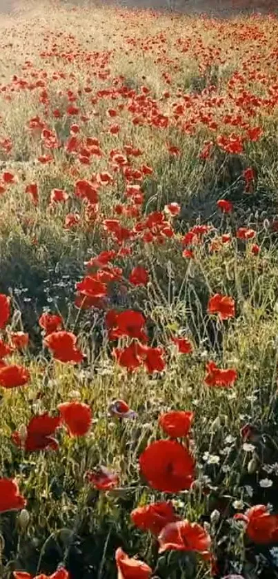 Flower Plant Grass Live Wallpaper
