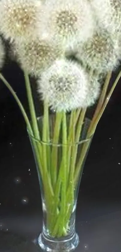 Flower Plant Grass Live Wallpaper