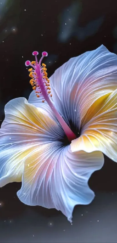 Flower Plant Hawaiian Hibiscus Live Wallpaper