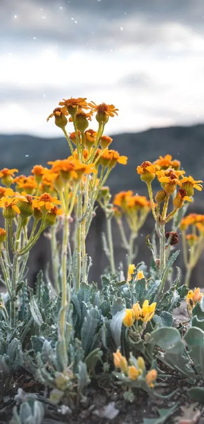 Flower Plant Landscape Live Wallpaper