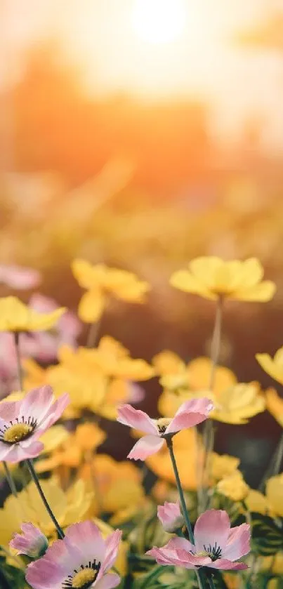 pink+yellow flowers Live Wallpaper