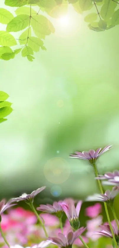 Flower Plant Leaf Live Wallpaper