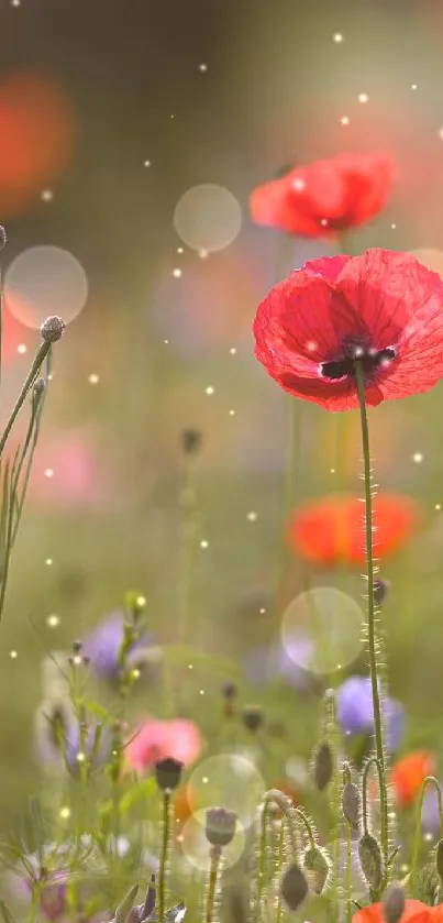 Flower Plant Light Live Wallpaper