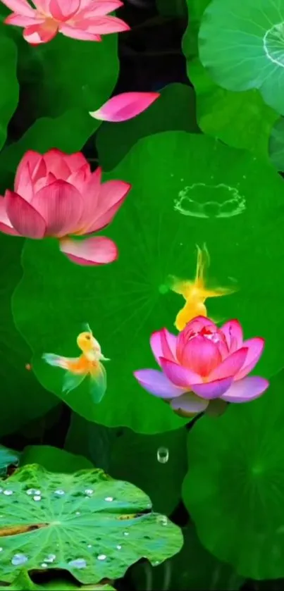 Flower Plant Lotus Live Wallpaper