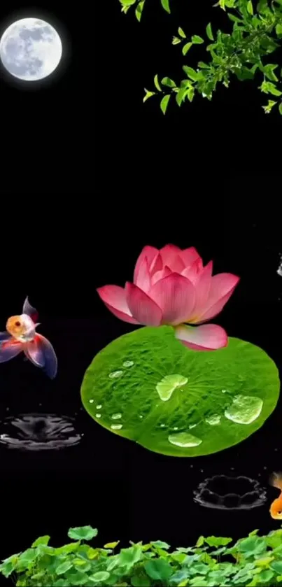 Flower Plant Lotus Live Wallpaper