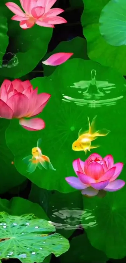 Flower Plant Lotus Live Wallpaper