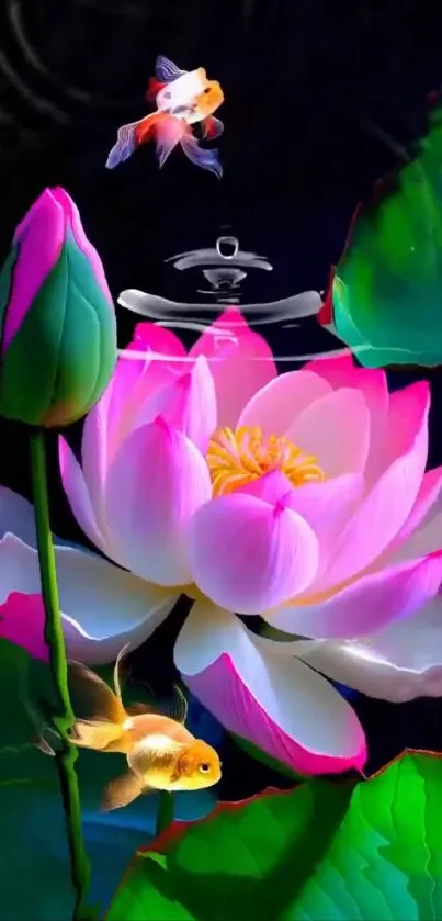 Flower Plant Lotus Live Wallpaper