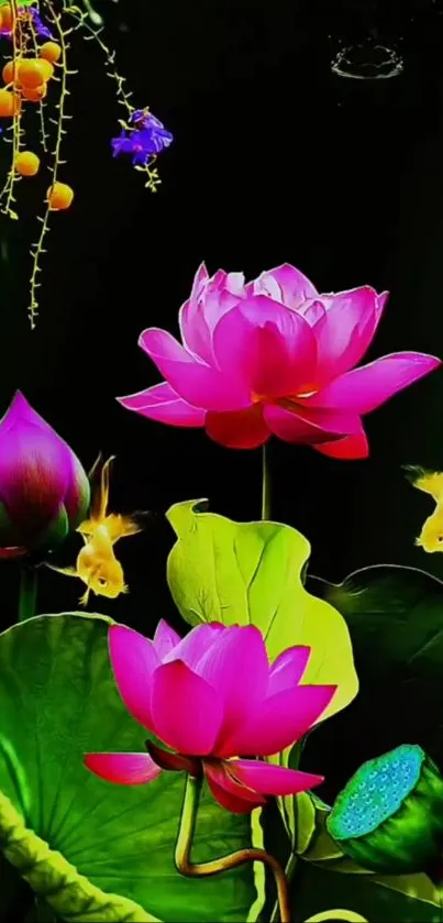 Flower Plant Lotus Live Wallpaper