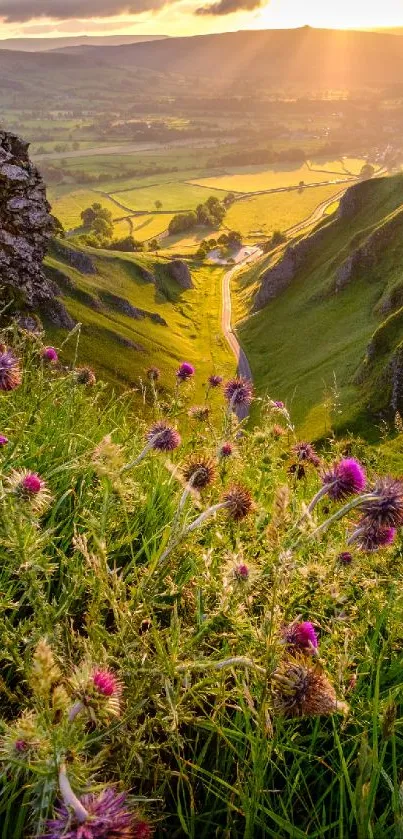 Sunlit valley with spring flowers and lush greenery in a scenic nature view.