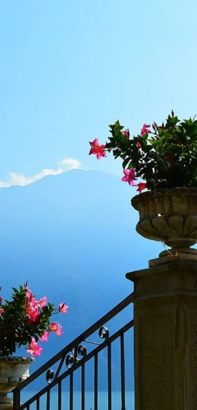 Flower Plant Outdoor Live Wallpaper