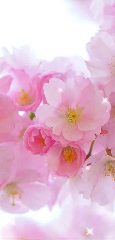 flowers Live Wallpaper