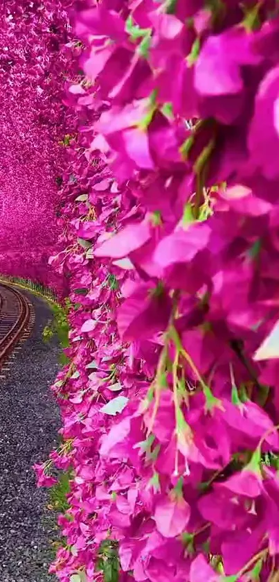 Flower Plant Petal Live Wallpaper