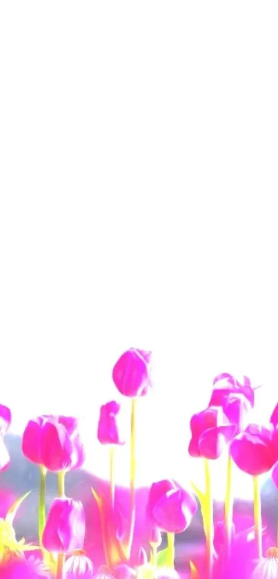 Flower Plant Petal Live Wallpaper