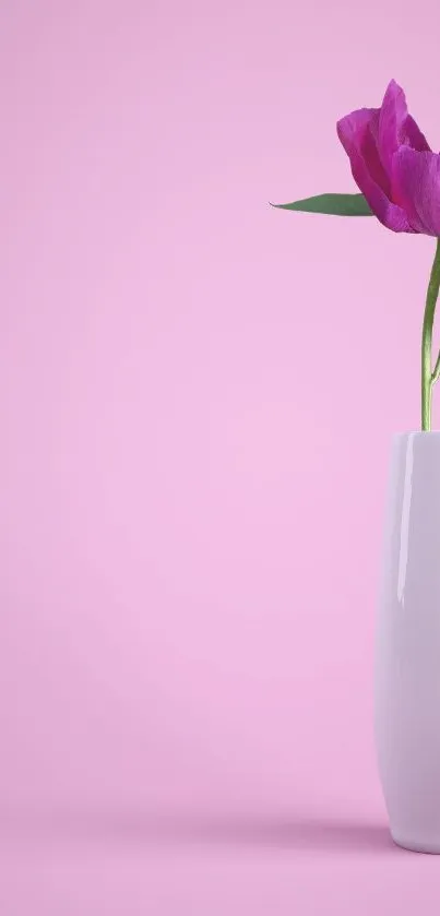 Flower Plant Petal Live Wallpaper