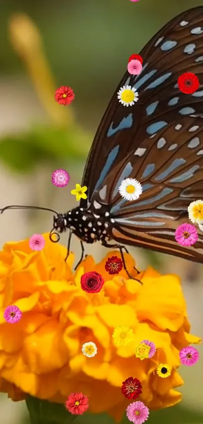 Flower Plant Petal Live Wallpaper