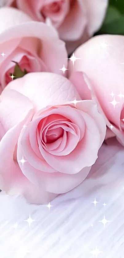 Flower Plant Petal Live Wallpaper