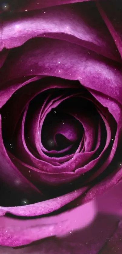 rose Live Wallpaper