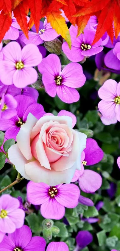 Rosyflower Live Wallpaper