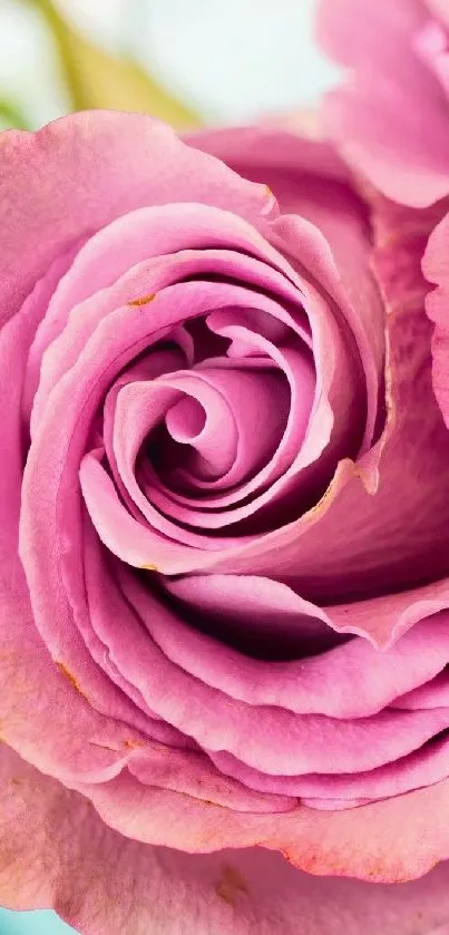 💜  Live Wallpaper