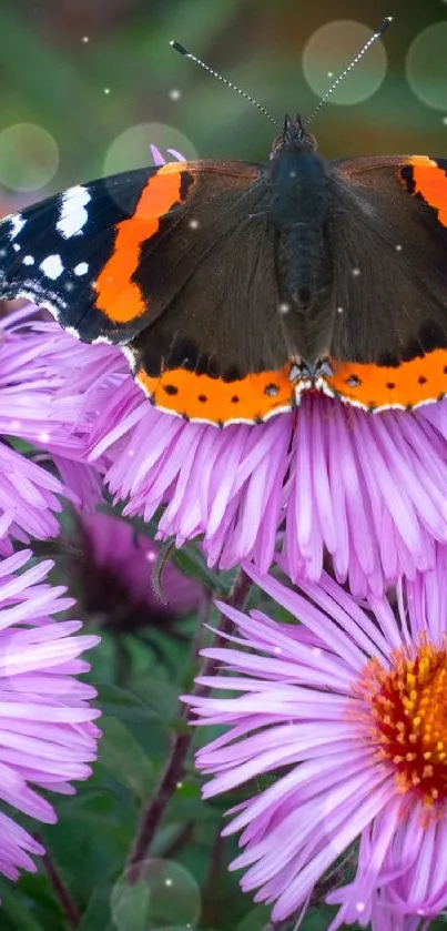 butterfly baby Live Wallpaper