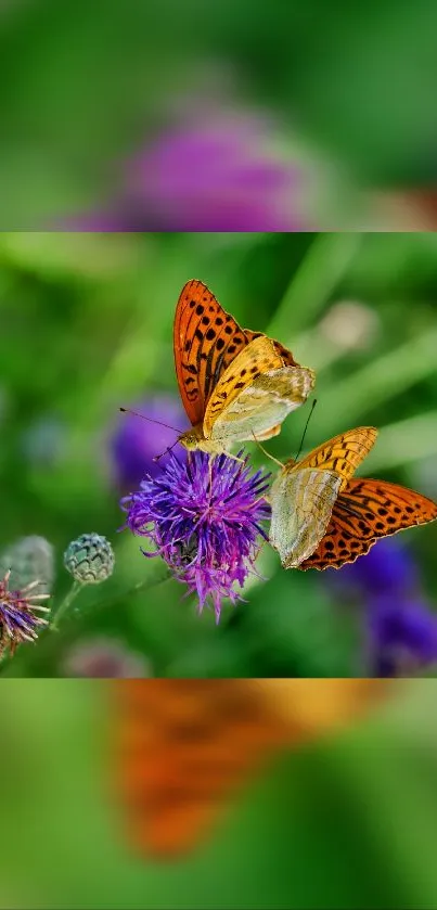 Flower Plant Pollinator Live Wallpaper