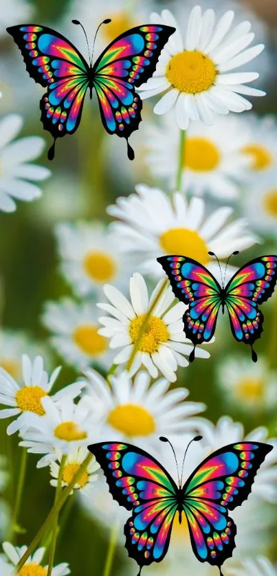 Flower Plant Pollinator Live Wallpaper