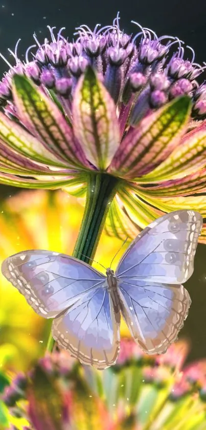 Flower Plant Pollinator Live Wallpaper