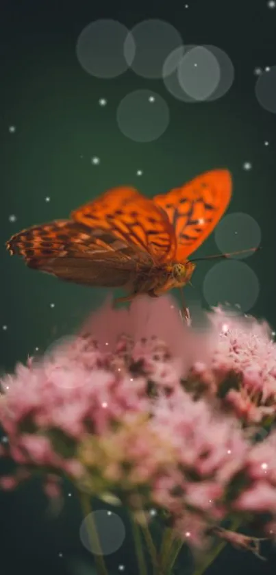 Flower Plant Pollinator Live Wallpaper