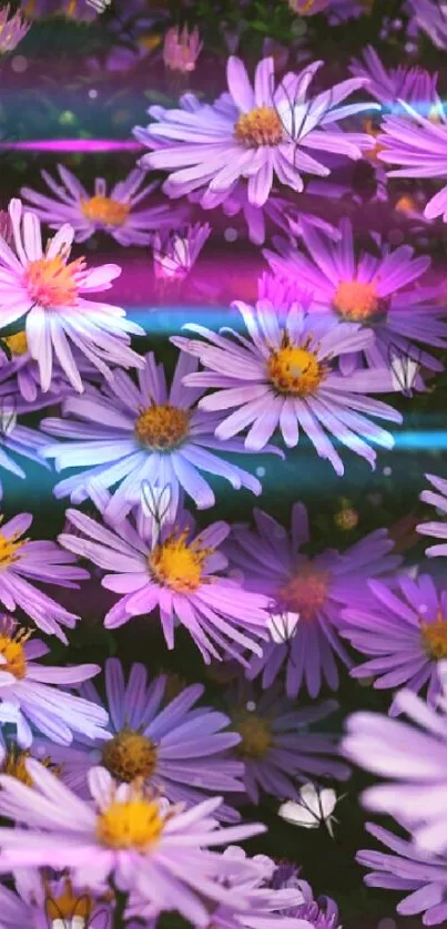 🌼~🌼 Live Wallpaper