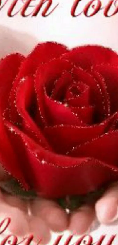 Flower Plant Red Live Wallpaper