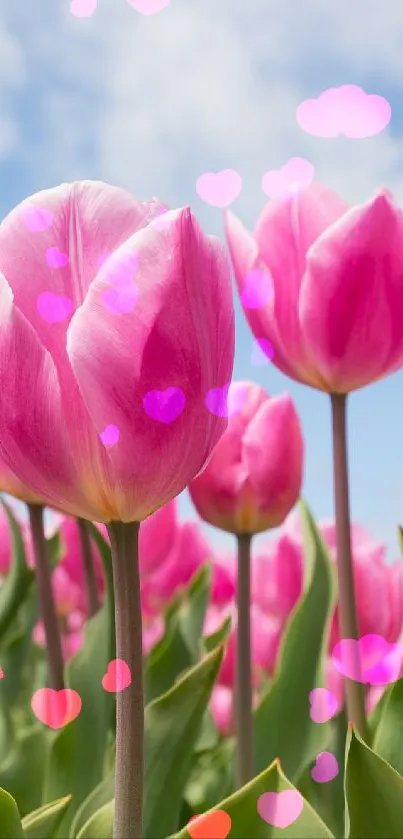 Tulipanes  Live Wallpaper