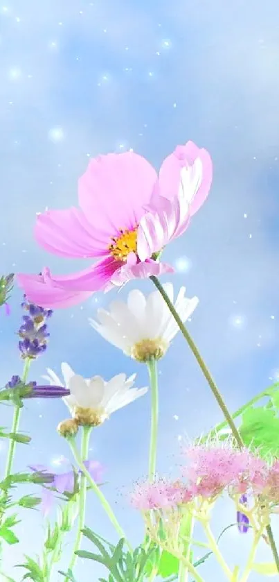 Flower Plant Sky Live Wallpaper
