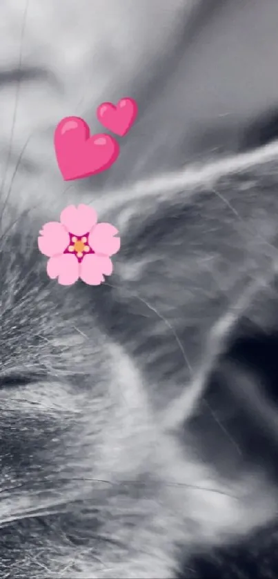 cute cat Live Wallpaper