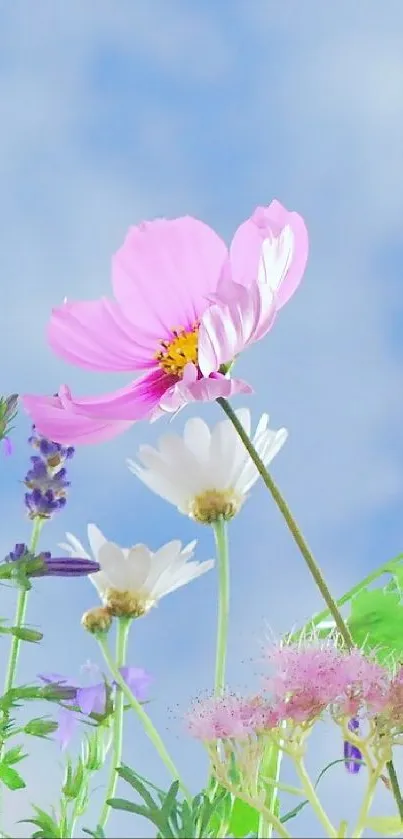 flowers Live Wallpaper