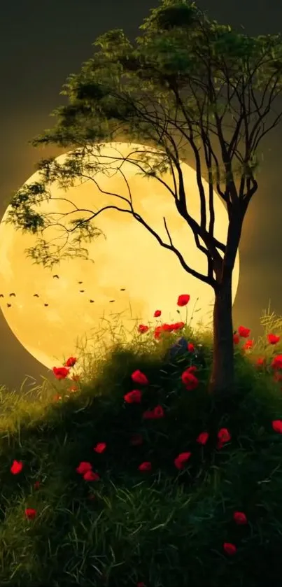 Flower Plant Sky Live Wallpaper