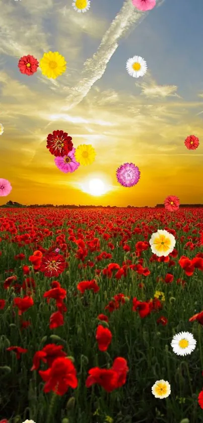 Flower Plant Sky Live Wallpaper