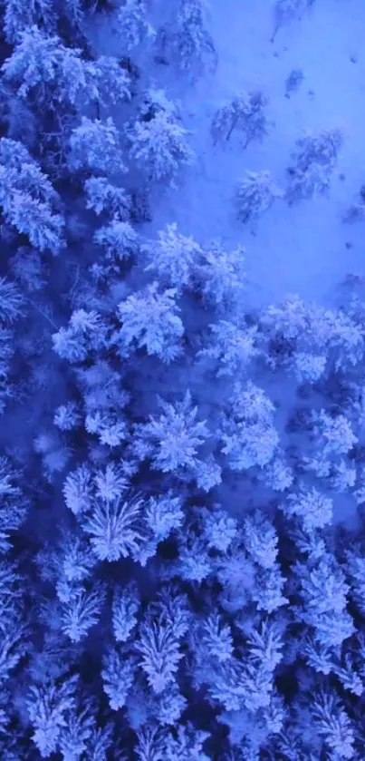 Flower Plant Tree Live Wallpaper