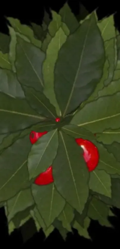 Flower Plant Tree Live Wallpaper