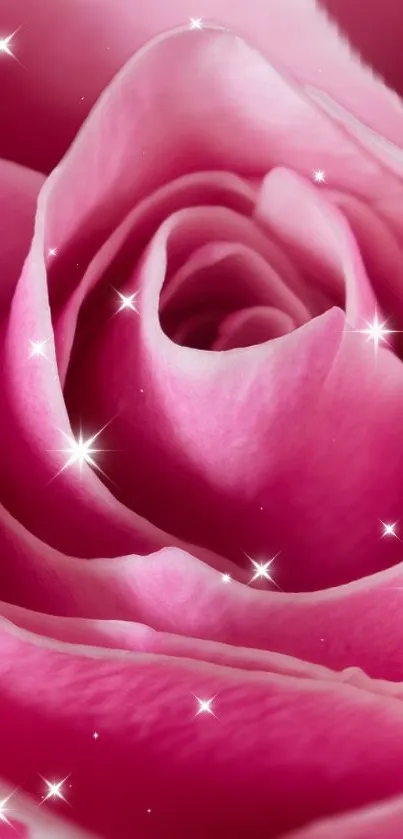 rose Live Wallpaper - free download