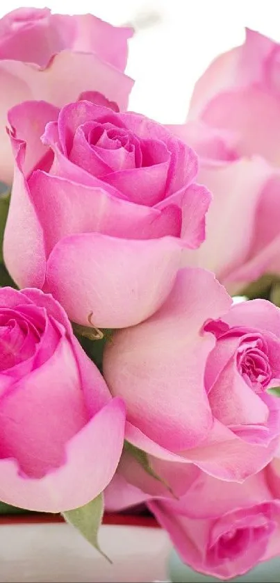 pink flowers Live Wallpaper