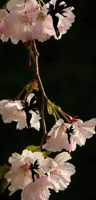 Flower Plant White Live Wallpaper