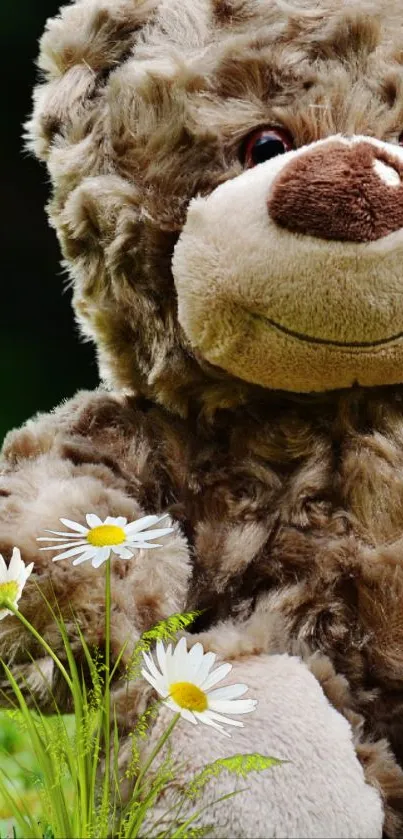 Flower Plant White Live Wallpaper