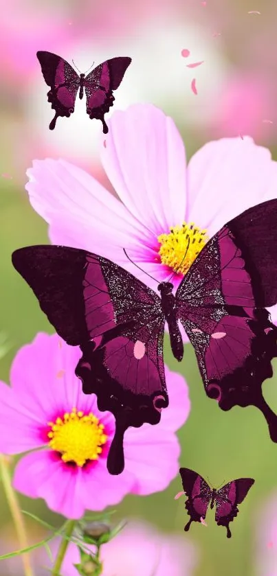 Flower Pollinator Insect Live Wallpaper