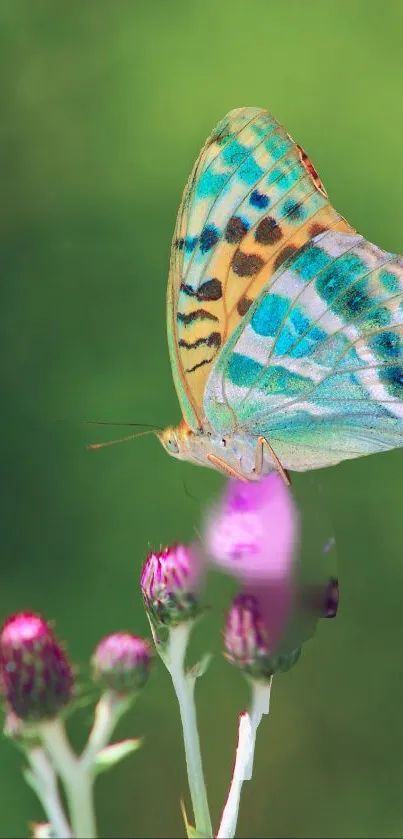 WOW Live Wallpaper