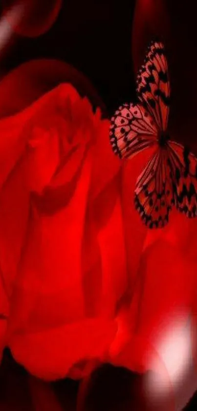 Flower Red Invertebrate Live Wallpaper