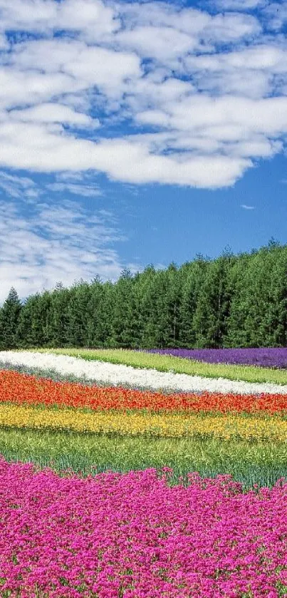 Flowers  Live Wallpaper